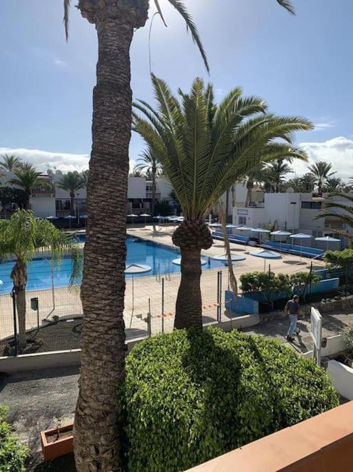 Apartment Lovely With Pool Costa Del Silencio